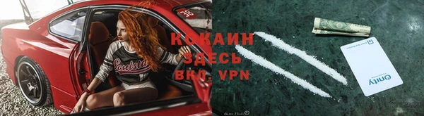 амф Аркадак
