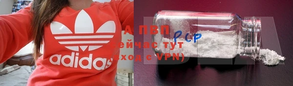 spice Арсеньев