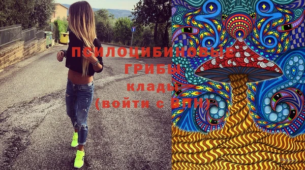spice Арсеньев