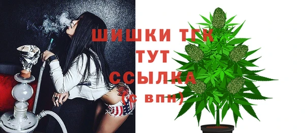 spice Арсеньев