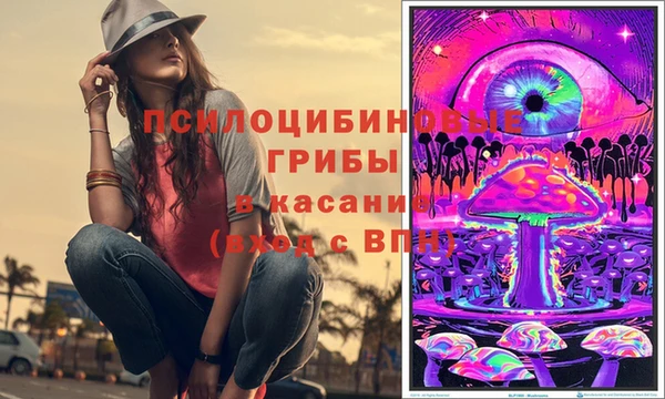 амф Аркадак
