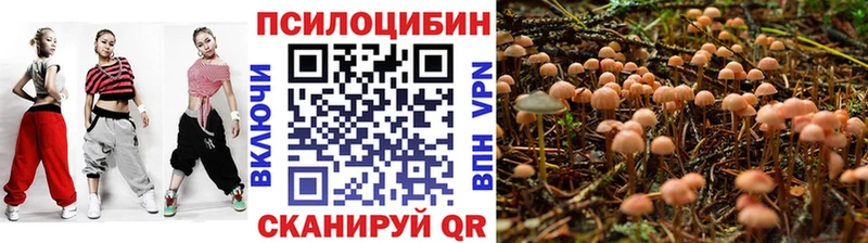 Псилоцибиновые грибы мухоморы  закладки  Мглин 